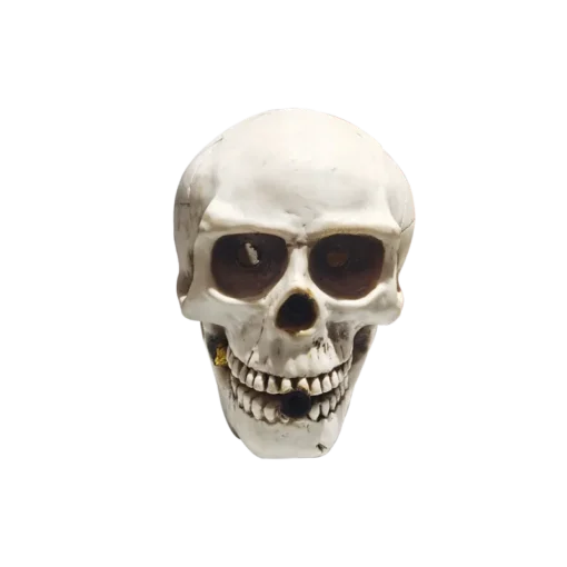 Skull Fountain by Gemstone Fireworks – a spooky 1.4G fountain firework featuring a glowing skull design, new for 2025.