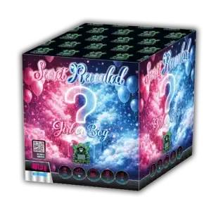 Secret Revealed Girl By Encrypted Fireworks